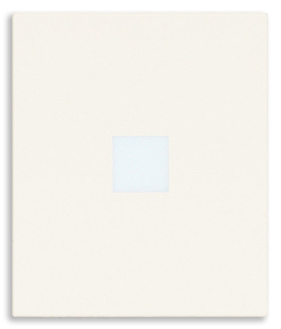 Tasto intercambiabile 2 moduli assiale, con diffusore illuminabile e personalizzabile con simbolo retro illuminabile Vimar linea bianco-nero-canapa 31000A.2DB/G/C