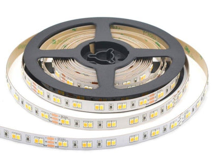 Strip LED CCT Regolabile 24W/m 13.260lm 5MT 24V IP20 | SMD2835 | INTEC