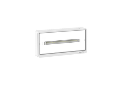 Lampada LED d'Emergenza da Parete Autonomia 1-3h IP42 IK09 | Batteria LiFePO4 Resistenza Fuoco 850°C CE ENEC | Schneider Exiway Light OVA44010