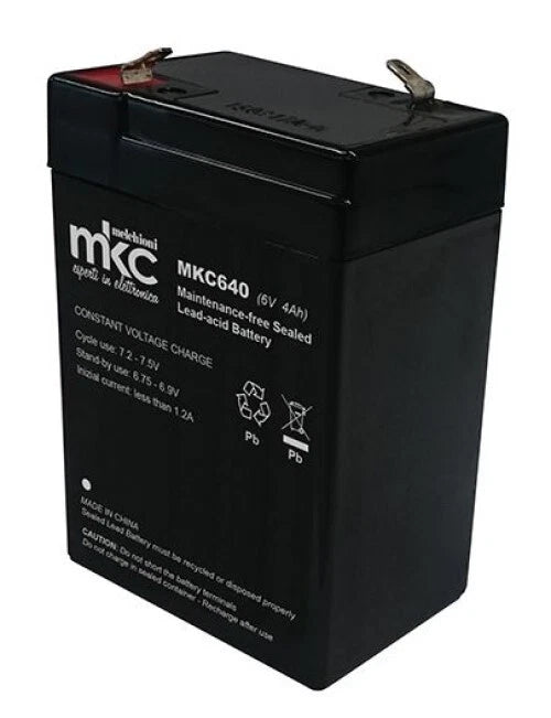 Batteria al piombo ricaricabile 6V 4Ah